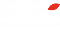 V 3 C ENVIRONNEMENT