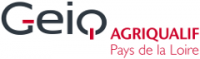 GEIQ AGI QUALIF 49