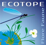 ECOTOPE FLORE-FAUNE