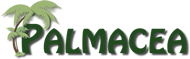 PALMACEA