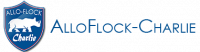 ALLO FLOCK