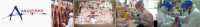 APROVIAND