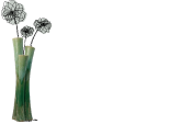 DURR CORINNE