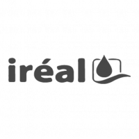 IREAL