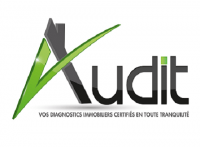 GIE AUDIT DTI FRANCE