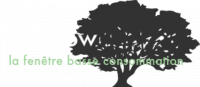 GREEN WINDOW