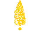 SEQUOIA INGENIERIE ET ENVIRONNEMENT