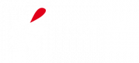 INGERIS CONSULTING