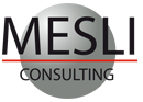 MESLI CONSULTING