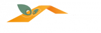 EFFIDOMUS