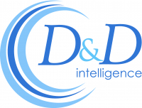 D&D INTELLIGENCE