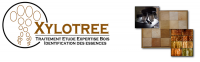 XYLOTREE