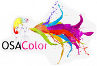 OSA COLOR SAS