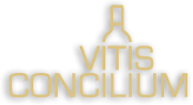 VITIS CONCILIUM