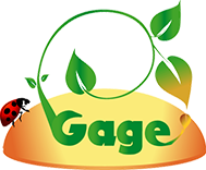 G.A.G.E