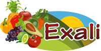 EXALI DISTRIBUTION