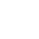 AD HOC EXPERTISE