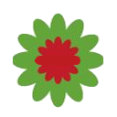 TERDEM
