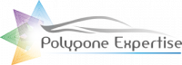 POLYGONE EXPERTISE