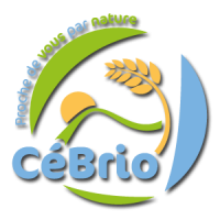 CEBRIO