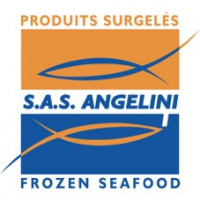 SA ANGELINI