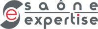 SAONE EXPERTISE