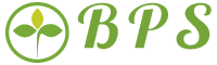 BEARN PALETTES SERVICES