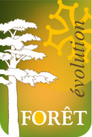 FORET EVOLUTION