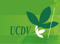 UCDV