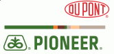 PIONEER SEMENCES