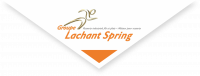 LACHANT SPRING 28
