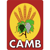 CAMB