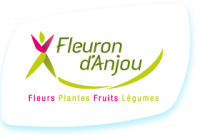 FLEURON D ANJOU