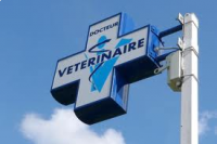 CLINIQUE VETERINAIRE LE GROS CHENE