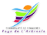 COROME INTERIM