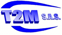 T 2 M
