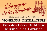 DOMAINE DE LA GOULOTTE