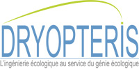 DRYOPTERIS