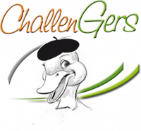 CHALLENGERS