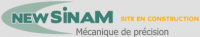 NEWSINAM