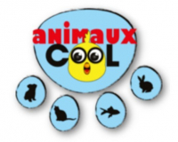 ANIMAUX COOL