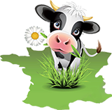 GASTRONOMIE FROMAGERE DE LYON