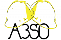 A3SO
