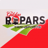 GILDAS ROPARS