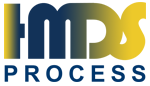 HMDS PROCESS