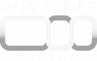 DNA SCRIPT