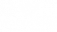 WOODSTONE