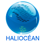 HALIOCEAN