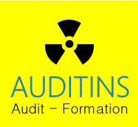 AUDITINS