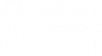 NET INVADERS